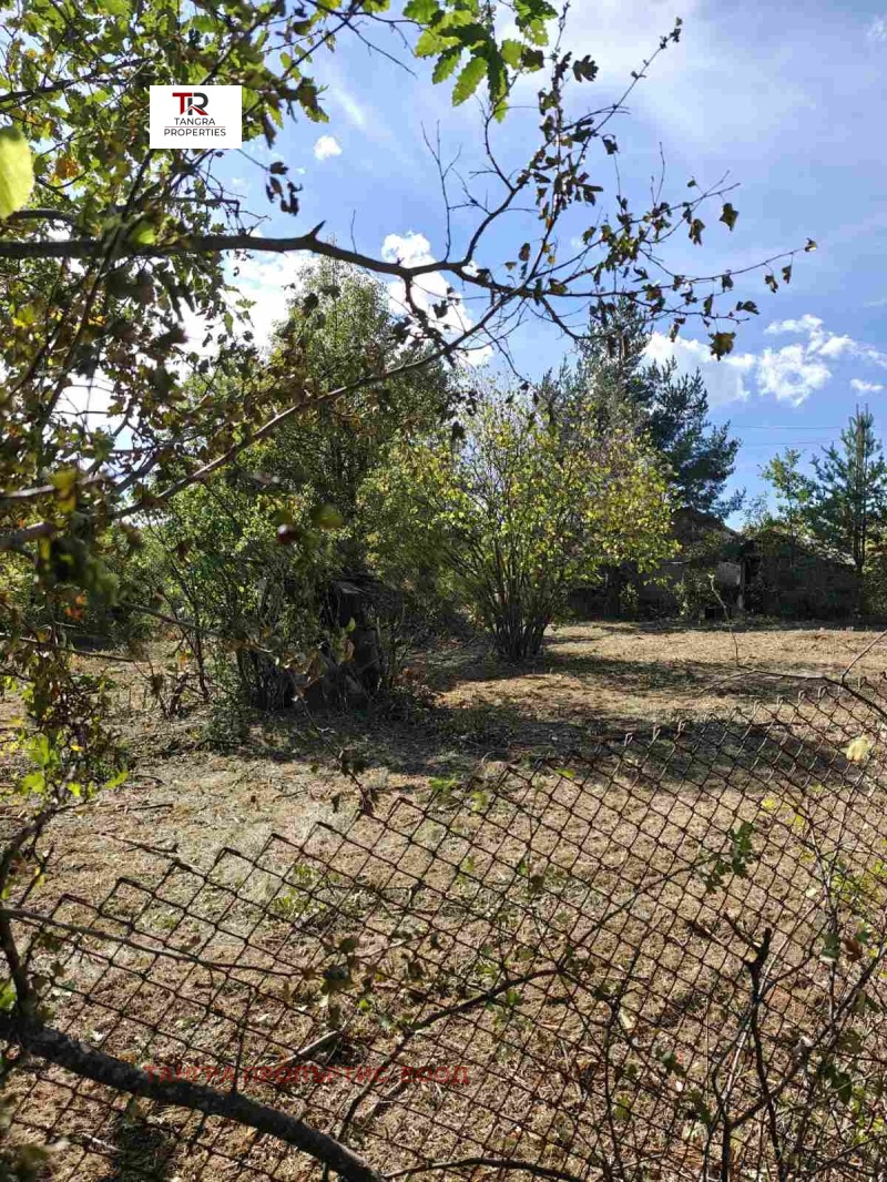 Продава ВИЛА, с. Егълница, област Перник, снимка 7 - Вили - 52122756