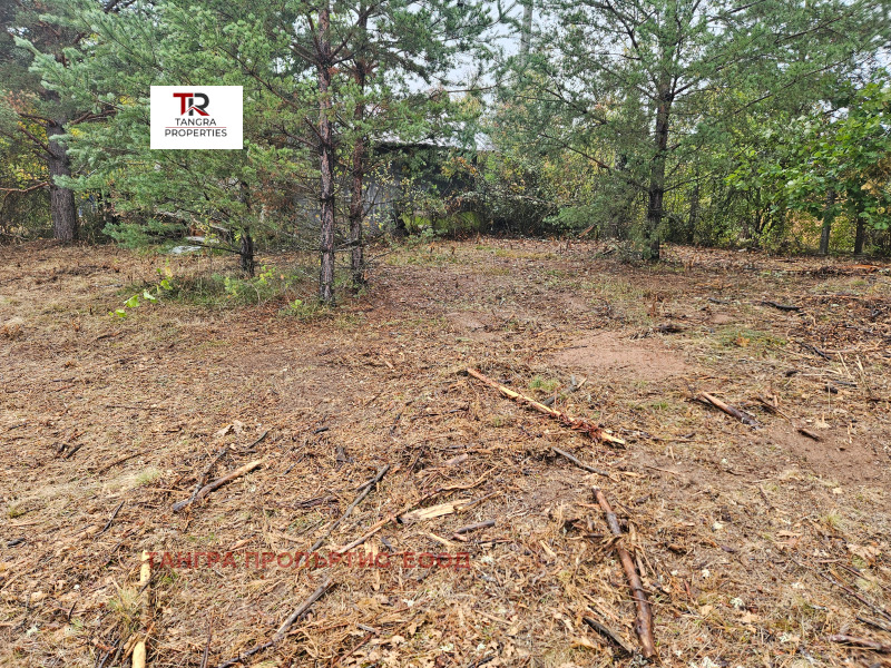 For Sale  Villa region Pernik , Egalnitsa , 34 sq.m | 58922004 - image [4]