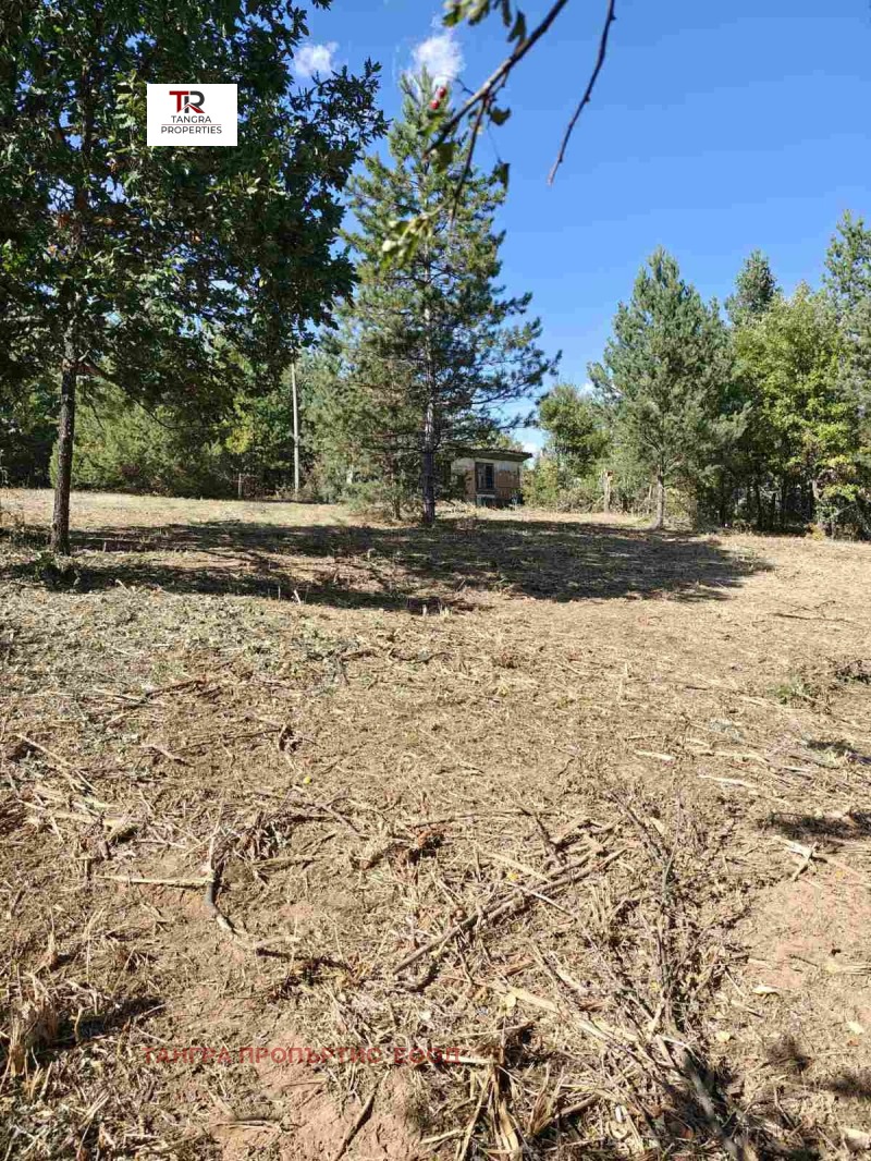 Продава ВИЛА, с. Егълница, област Перник, снимка 8 - Вили - 52122756