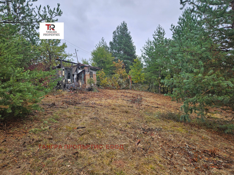 For Sale  Villa region Pernik , Egalnitsa , 34 sq.m | 58922004