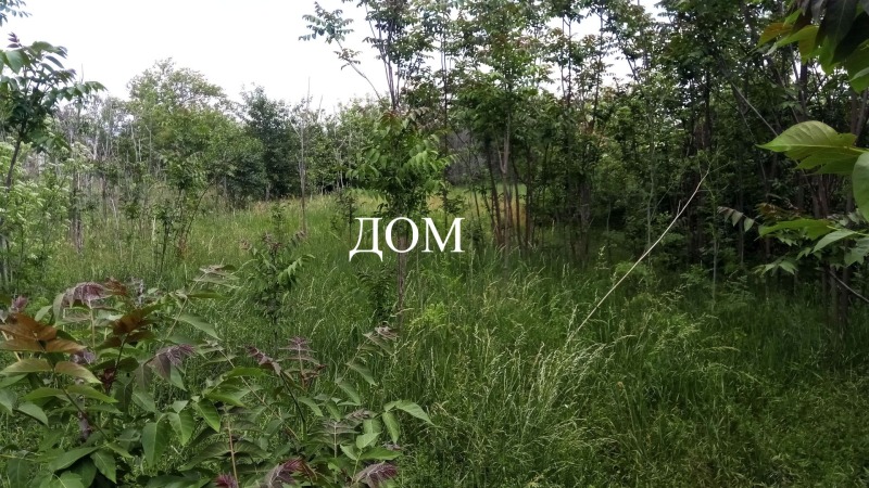 Na prodej  Spiknutí oblast Shumen , Pliska , 1770 m2 | 95517880 - obraz [4]