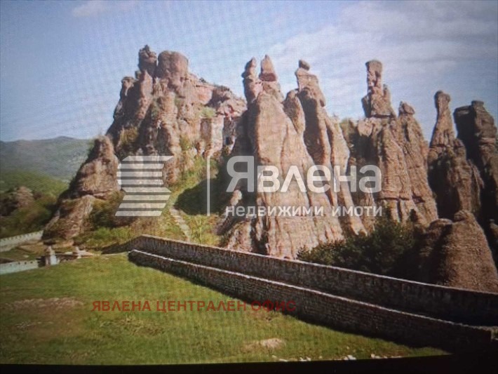 Продава ПАРЦЕЛ, с. Дъбравка, област Видин, снимка 3 - Парцели - 53688972