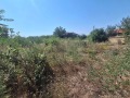 Продава КЪЩА, с. Обединение, област Велико Търново, снимка 4
