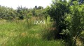 Продава ПАРЦЕЛ, област Шумен, гр. Плиска • 35000 лв. • 90487004 — Holmes.bg