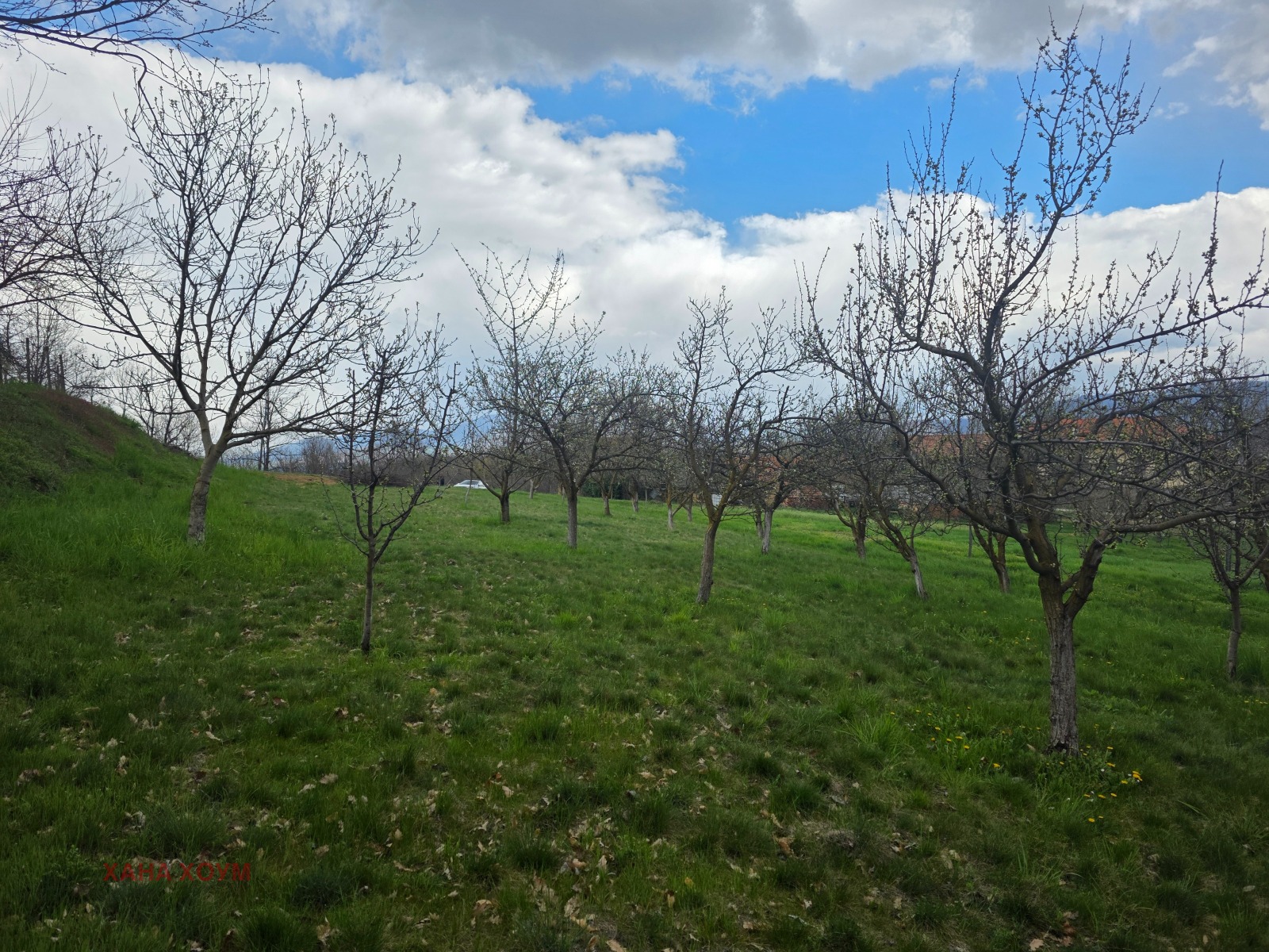 ������� ������ | Imot.bg � ����������� 7