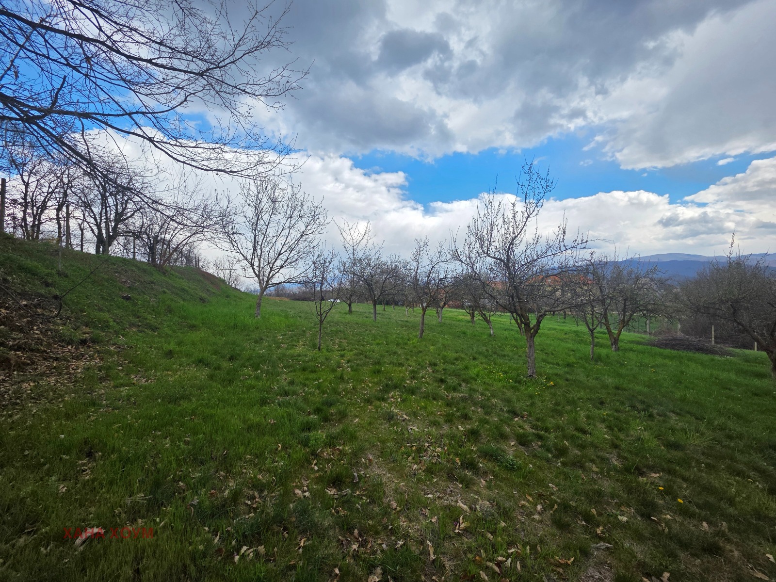 ������� ������ | Imot.bg � ����������� 6