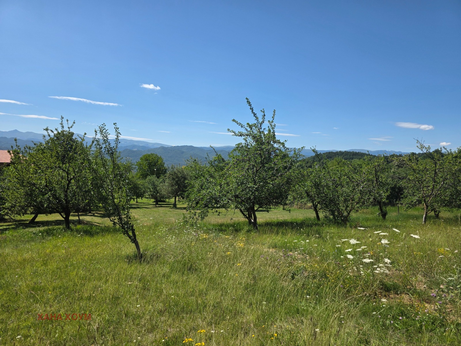 ������� ������ | Imot.bg � ����������� 11