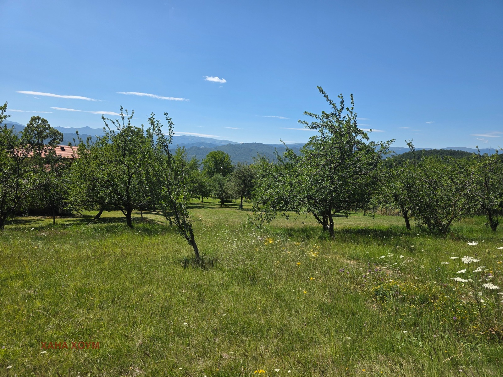 ������� ������ | Imot.bg � ����������� 2