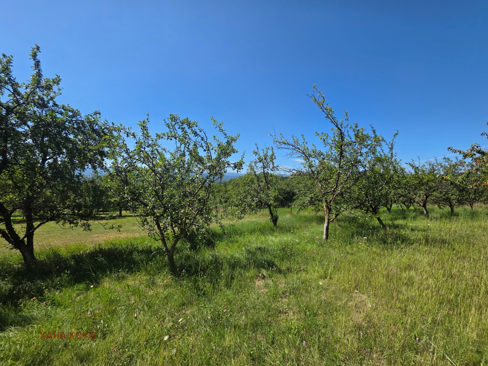 ������� ������ | Imot.bg � ����������� 4