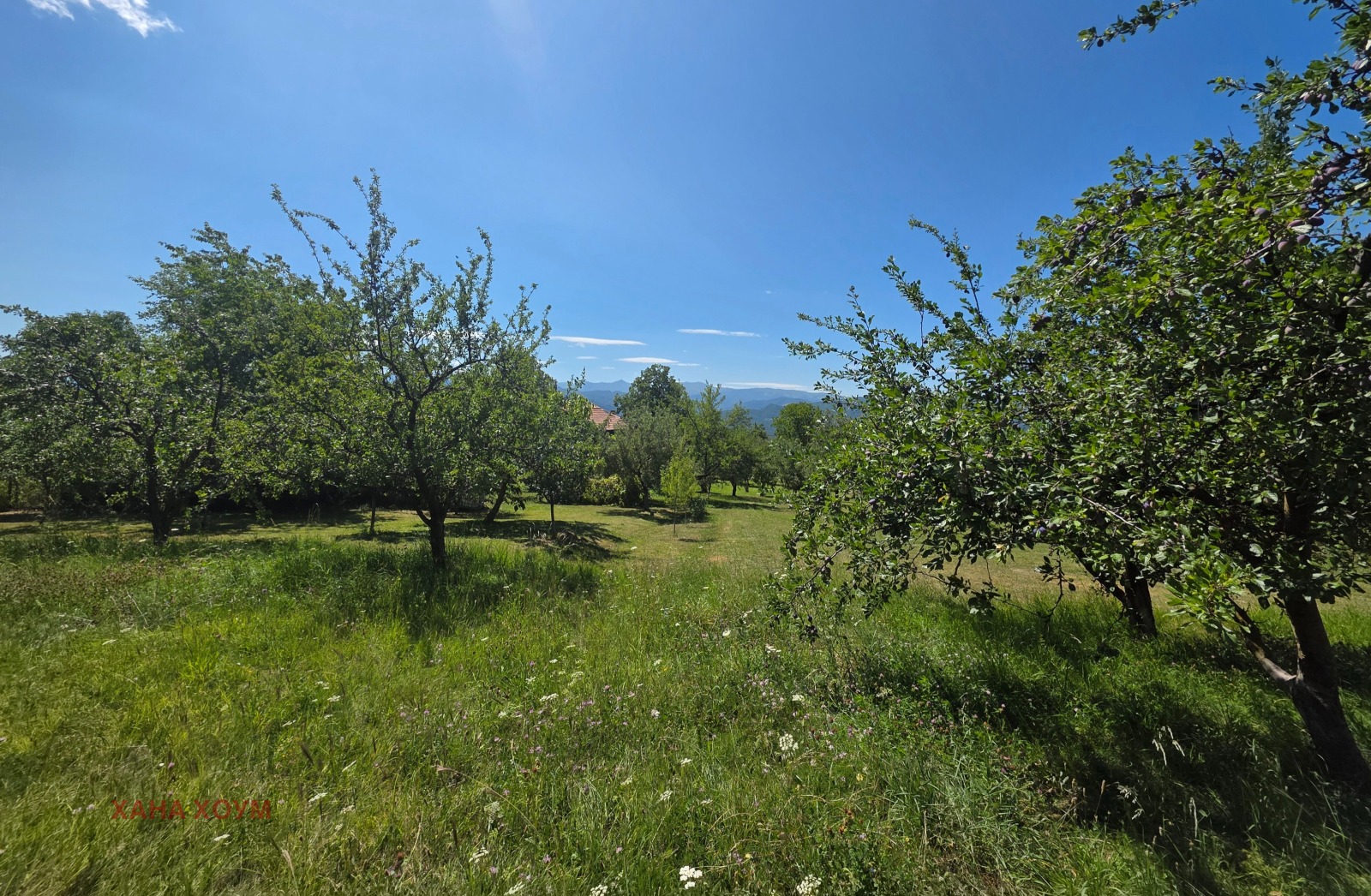 ������� ������ | Imot.bg � ����������� 3