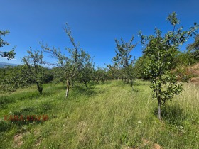 ������� ������ | Imot.bg � ����� ������ 5