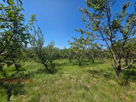 ������� ������ | Imot.bg � ����� ������ 6