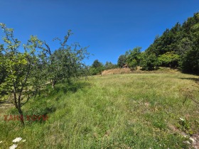 ������� ������ | Imot.bg � ����� ������ 10