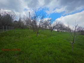 ������� ������ | Imot.bg � ����� ������ 8