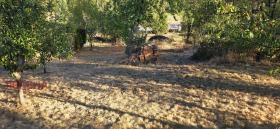 ������� ������ | Imot.bg � ����� ������ 5