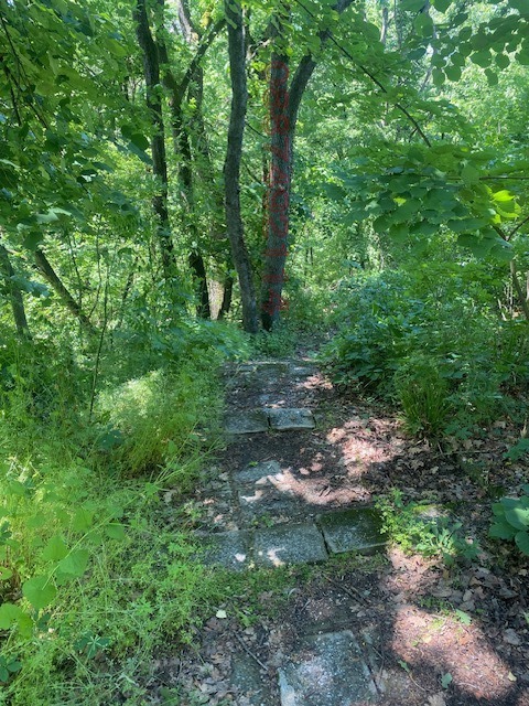 À vendre  Villa région Roussé , Nikolovo , 977 m² | 84760288 - image [5]