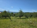 Продава ПАРЦЕЛ, с. Патрешко, област Ловеч, снимка 11