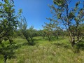 Продава ПАРЦЕЛ, с. Патрешко, област Ловеч, снимка 6