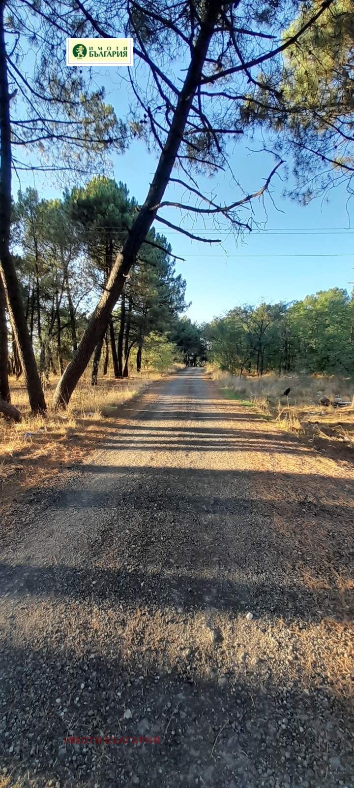 De vânzare  Complot Varna , m-t Boroveț - sever , 840 mp | 42657822