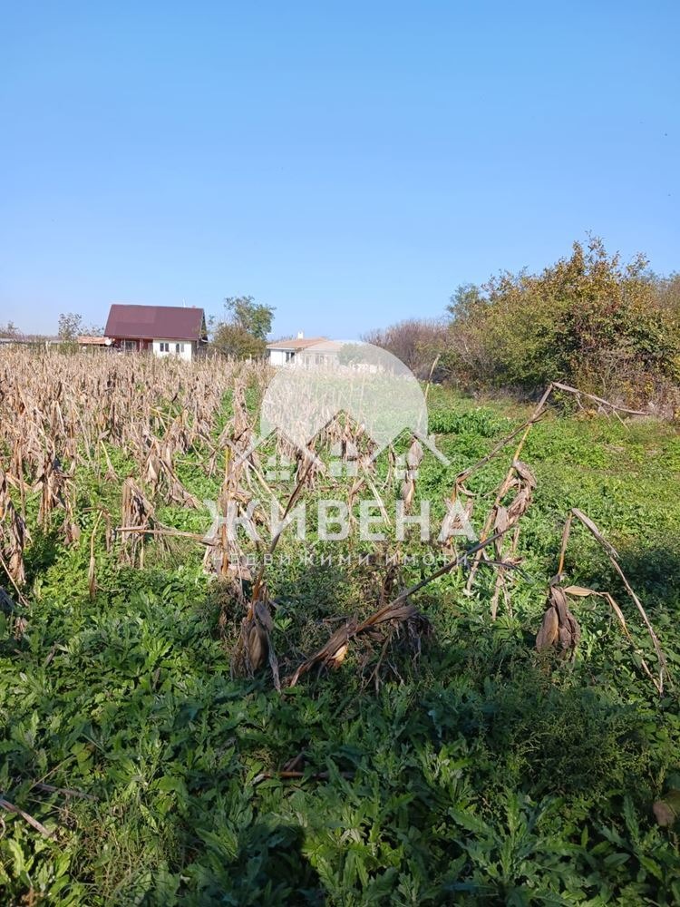 For Sale  Plot region Dobrich , Kamen bryag , 2817 sq.m | 91665588 - image [9]
