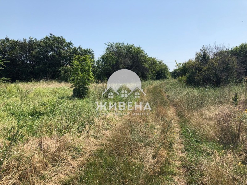 For Sale  Plot region Dobrich , Kamen bryag , 2817 sq.m | 91665588 - image [7]