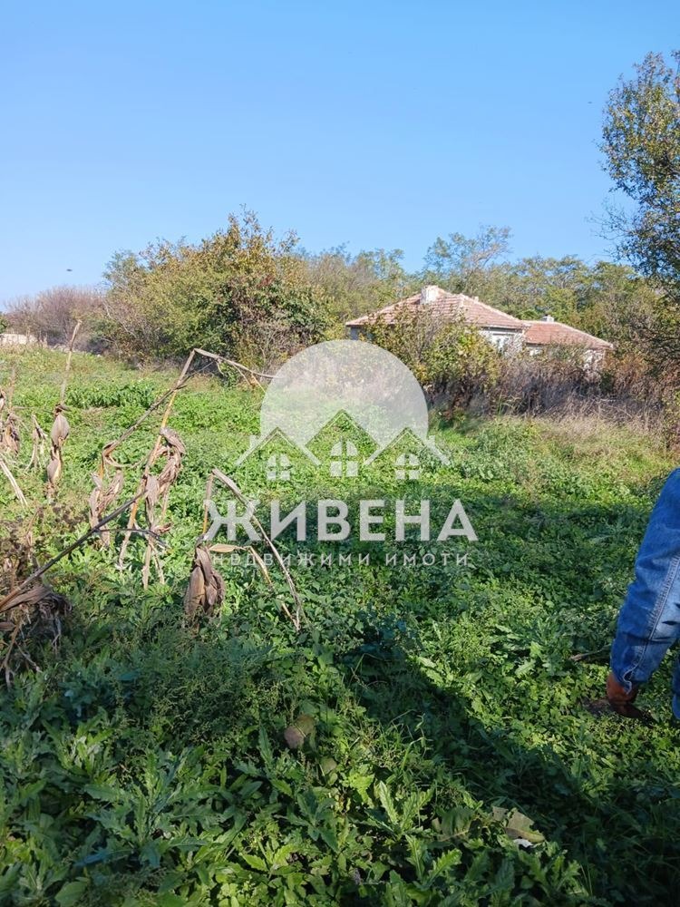 For Sale  Plot region Dobrich , Kamen bryag , 2817 sq.m | 91665588 - image [16]