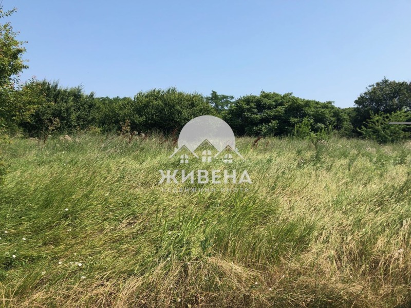 For Sale  Plot region Dobrich , Kamen bryag , 2817 sq.m | 91665588 - image [5]
