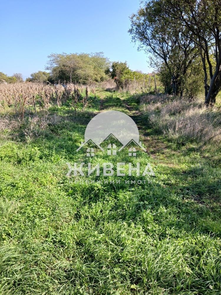 For Sale  Plot region Dobrich , Kamen bryag , 2817 sq.m | 91665588 - image [14]