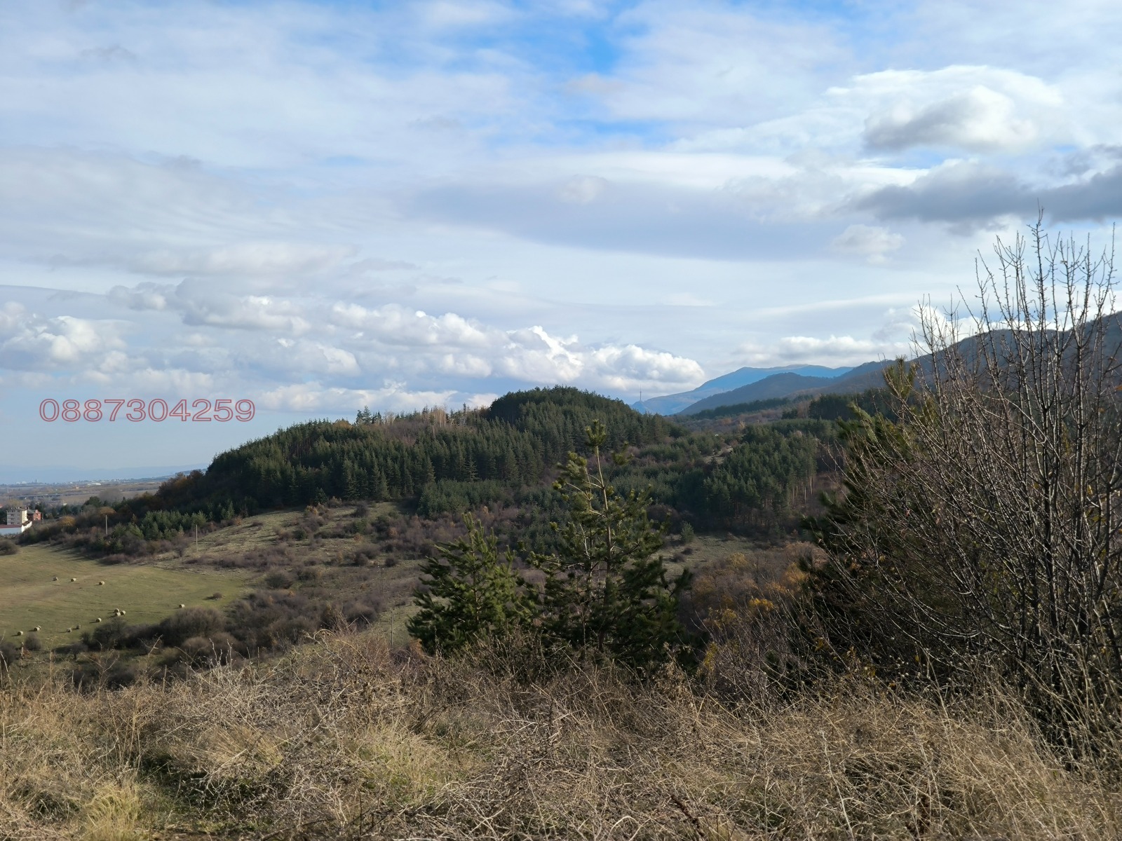 Продава ПАРЦЕЛ, с. Дивотино, област Перник, снимка 4 - Парцели - 54005167