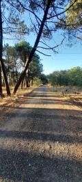 Продава ПАРЦЕЛ, гр. Варна, м-т Боровец - север, снимка 1