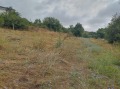 Продава ПАРЦЕЛ, с. Негушево, област София област, снимка 2