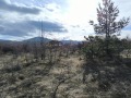 Продава ПАРЦЕЛ, с. Дивотино, област Перник, снимка 6