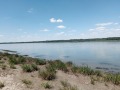 Продава ЗЕМЕДЕЛСКА ЗЕМЯ, гр. Гулянци, област Плевен, снимка 6
