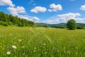Продава  Парцел област Пловдив , с. Царацово , 12715 кв.м | 70920211