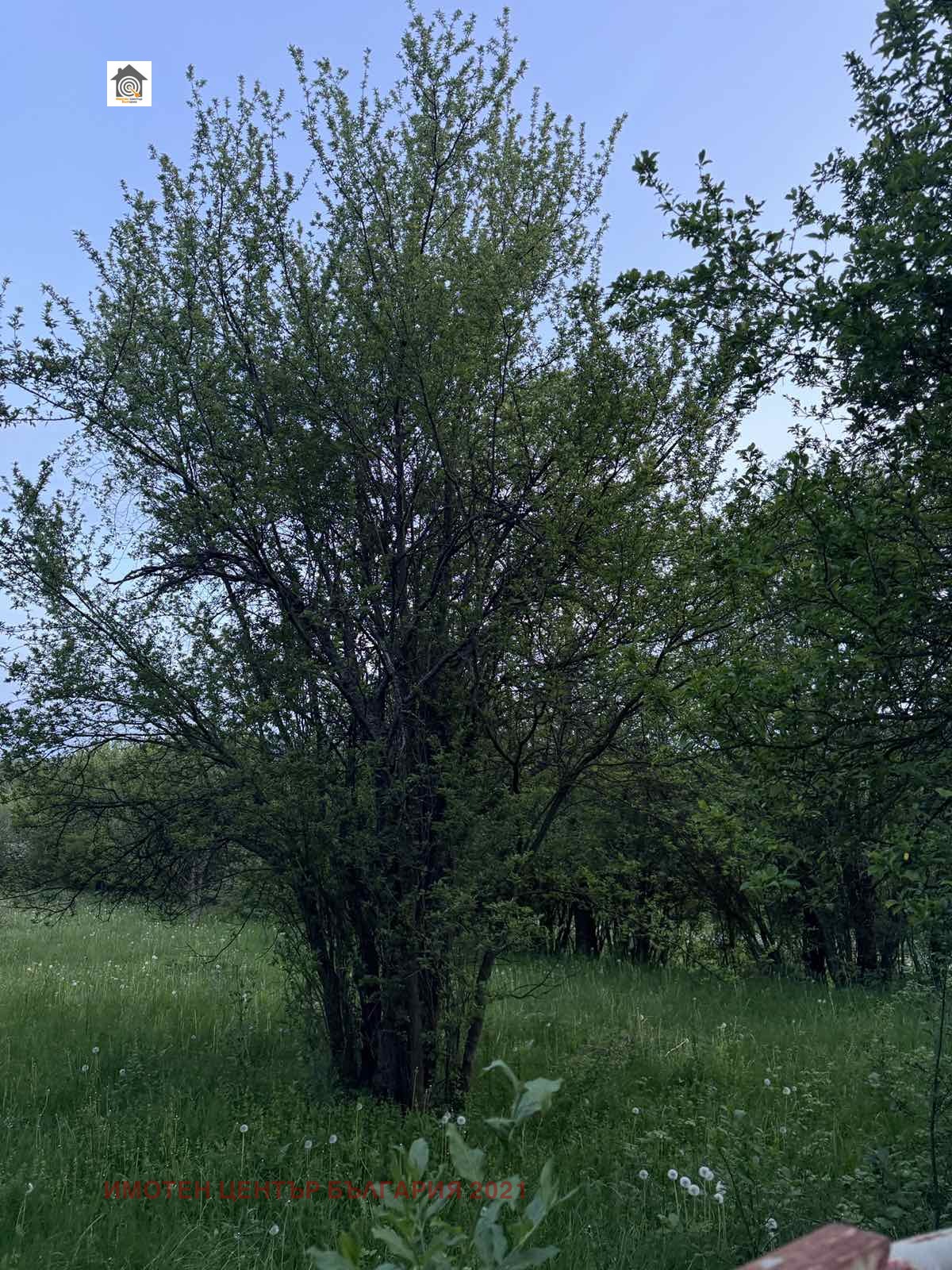 Продава ПАРЦЕЛ | Imot.bg — изображение 5