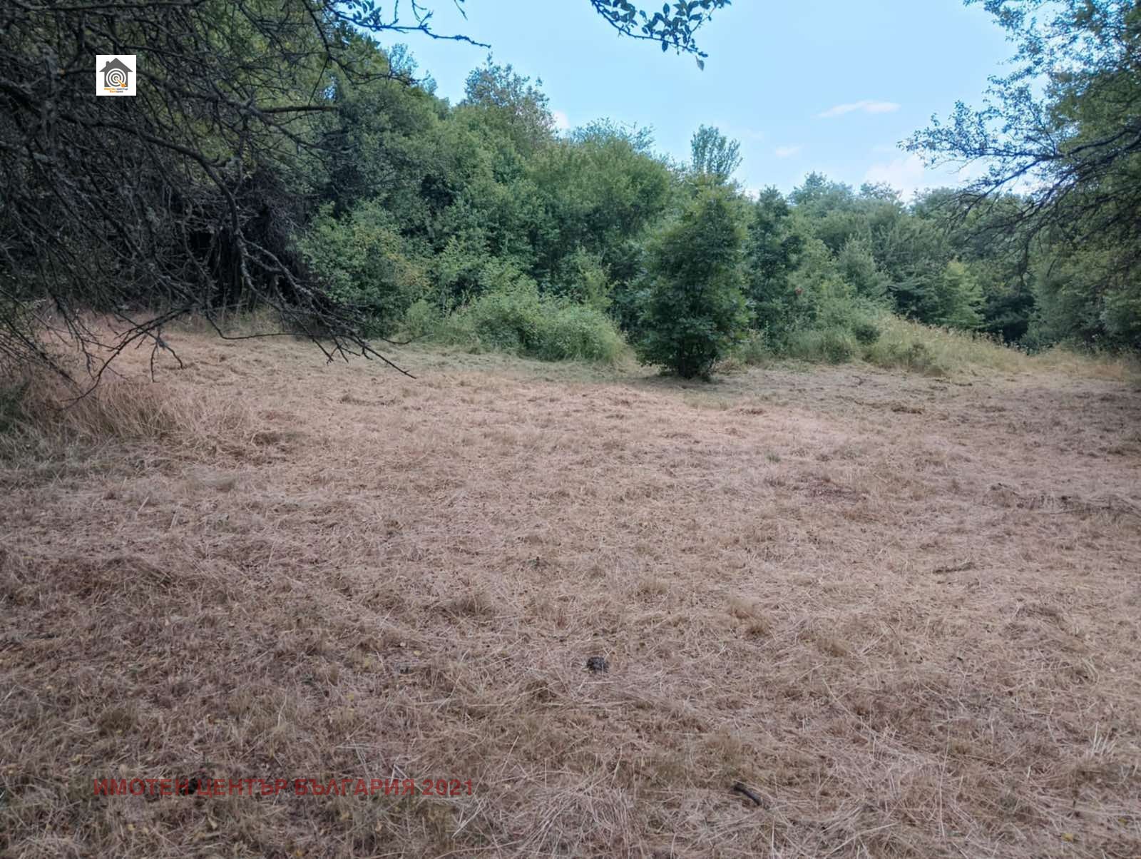 Продава ПАРЦЕЛ | Imot.bg — изображение 7