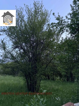   | Imot.bg    5