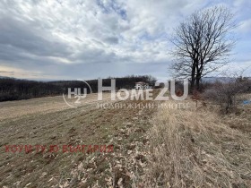 ������ ������� ������