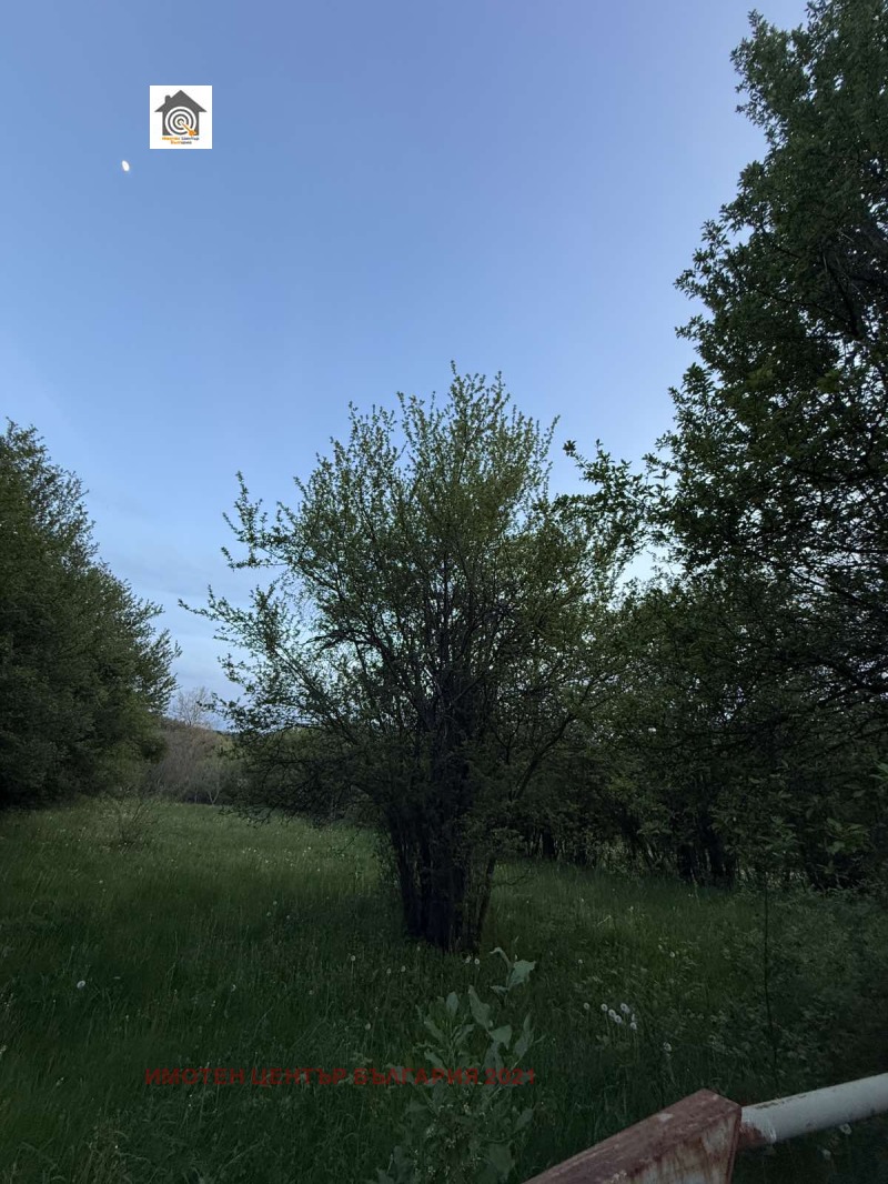 Na prodej  Spiknutí oblast Sofia , Dolno Kamarci , 1775 m2 | 70670712 - obraz [3]