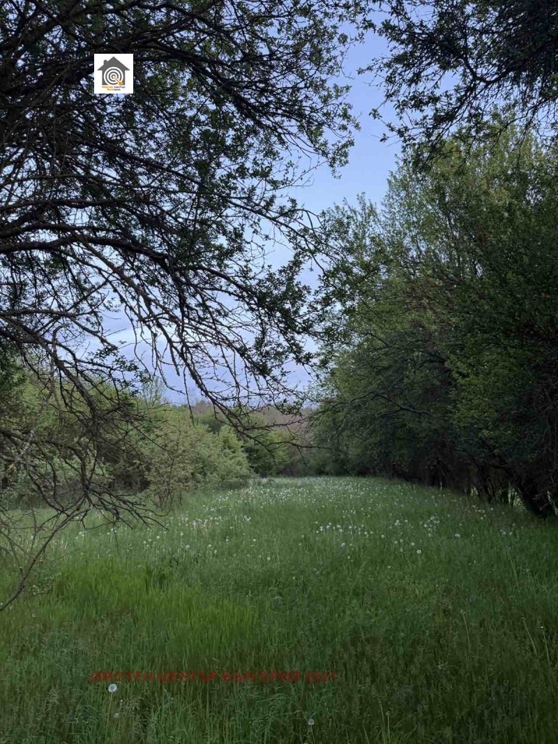Na prodej  Spiknutí oblast Sofia , Dolno Kamarci , 1775 m2 | 70670712