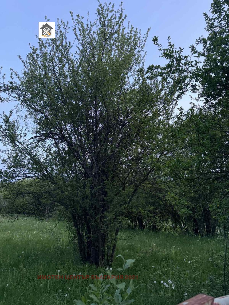 Na prodej  Spiknutí oblast Sofia , Dolno Kamarci , 1775 m2 | 70670712 - obraz [5]