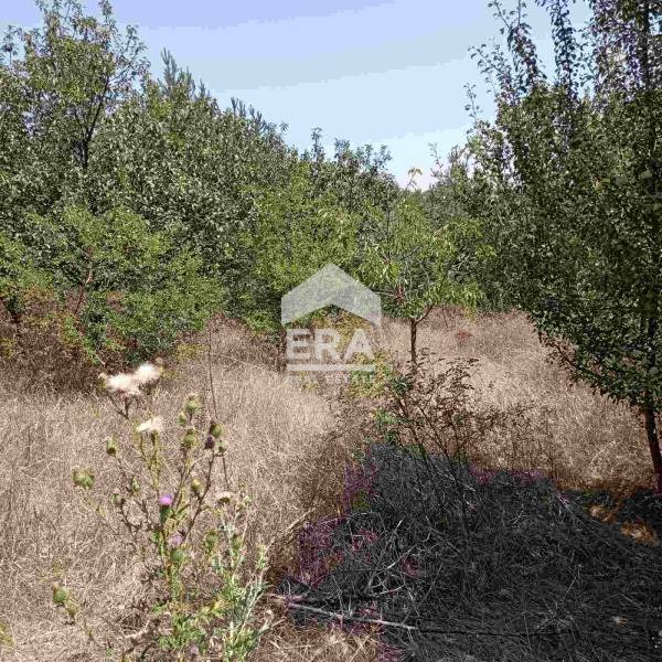 In vendita  Complotto regione Sofia , Kostinbrod , 2069 mq | 66419305 - Immagine [14]