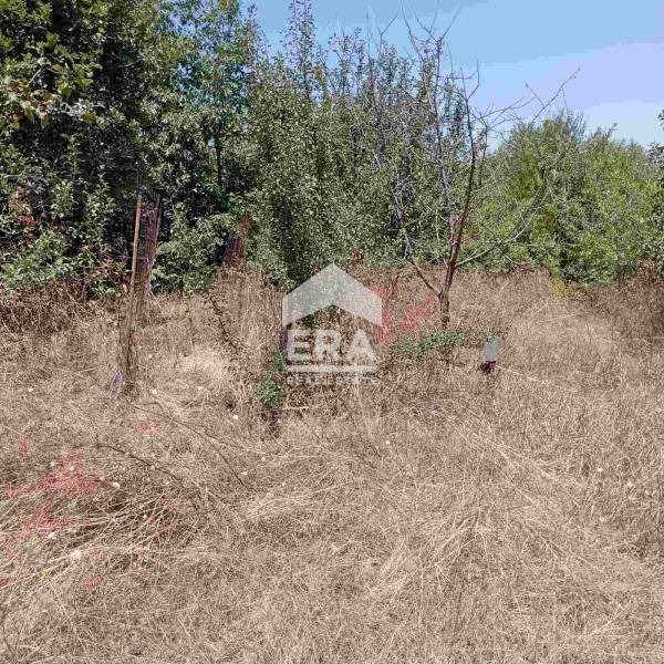 In vendita  Complotto regione Sofia , Kostinbrod , 2069 mq | 66419305 - Immagine [13]