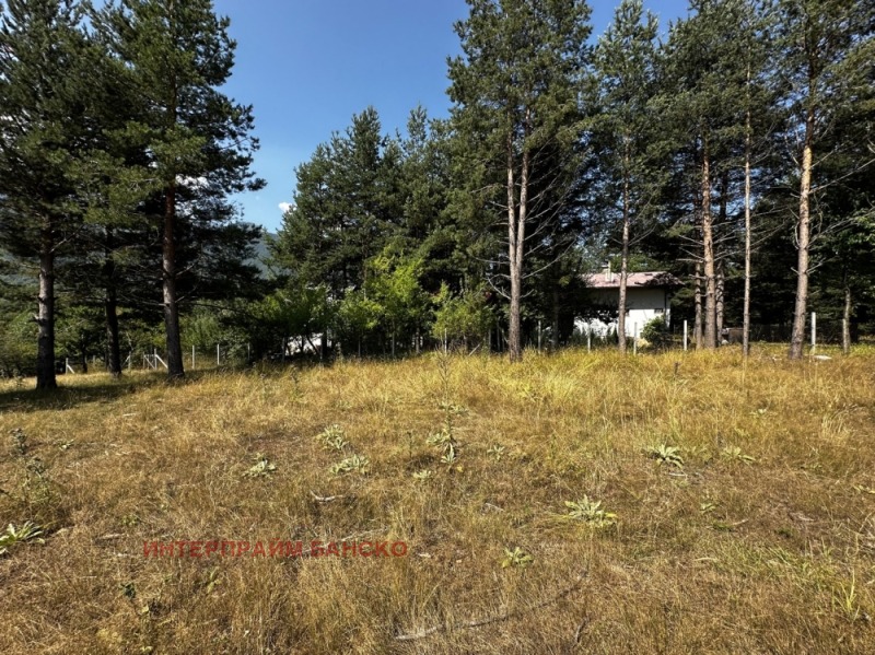 À vendre  Parcelle région Blagoevgrad , Razlog , 410 m² | 37073837 - image [10]