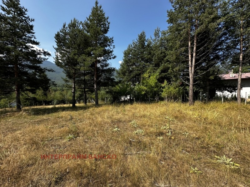 À vendre  Parcelle région Blagoevgrad , Razlog , 410 m² | 37073837 - image [9]