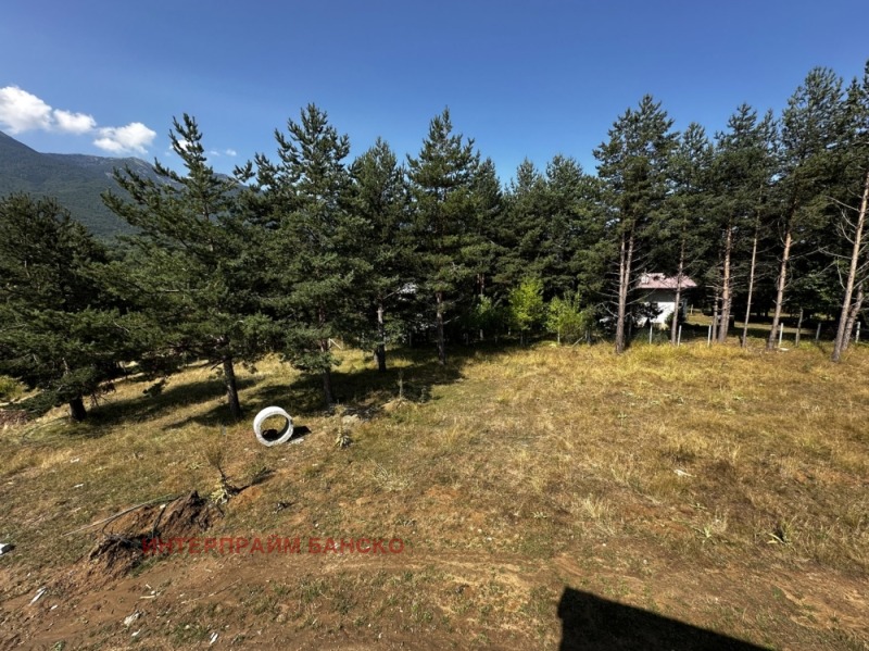 À vendre  Parcelle région Blagoevgrad , Razlog , 410 m² | 37073837 - image [3]
