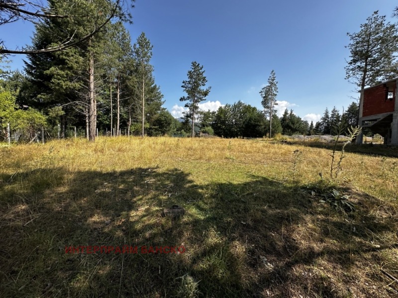À vendre  Parcelle région Blagoevgrad , Razlog , 410 m² | 37073837 - image [11]