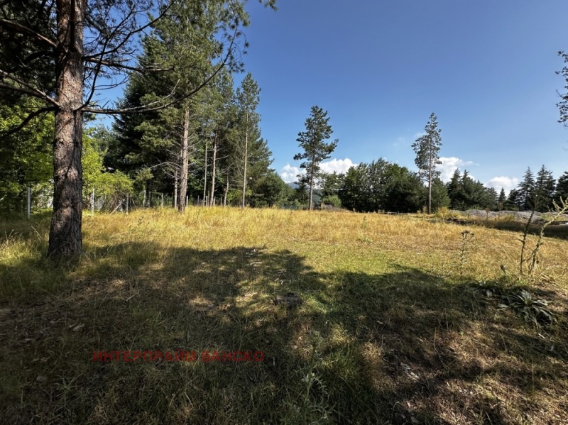 À vendre  Parcelle région Blagoevgrad , Razlog , 410 m² | 37073837 - image [12]