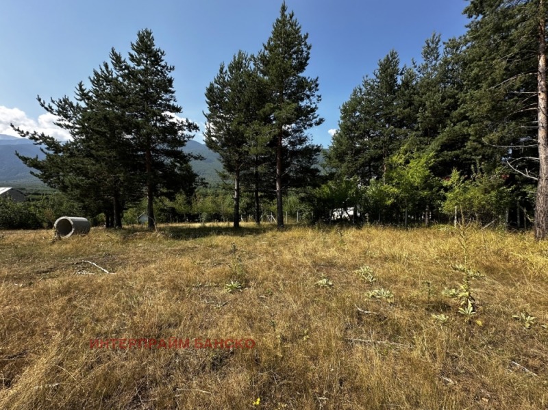 À vendre  Parcelle région Blagoevgrad , Razlog , 410 m² | 37073837 - image [8]