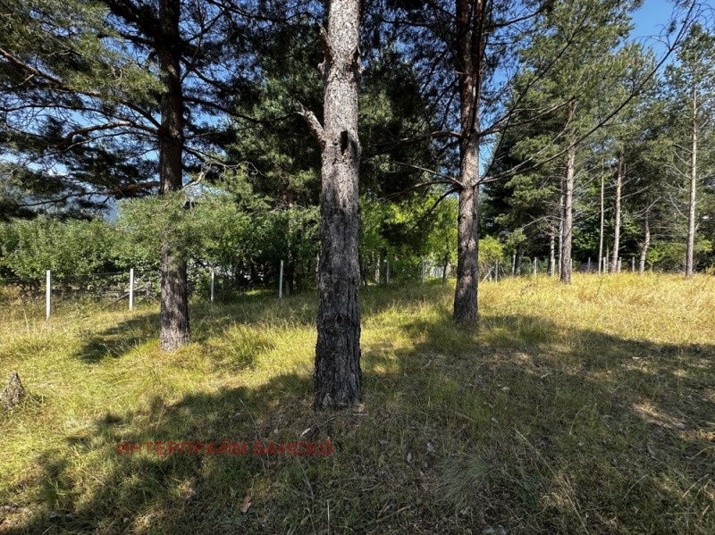 À vendre  Parcelle région Blagoevgrad , Razlog , 410 m² | 37073837 - image [14]